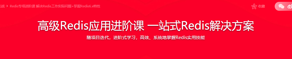 高级Redis应用进阶课 一站式Redis解决方案|完结无密