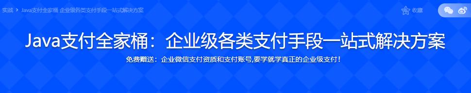 Java支付全家桶：企业级各类支付手段一站式解决方案|完结无密